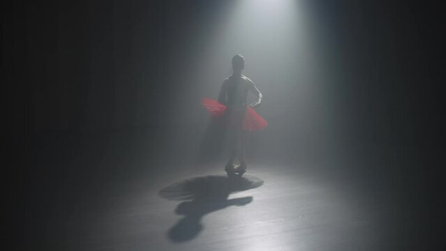A ballerina in a red tutu performs a dance in a beam of light. A spectacular shadow recedes from the dancer. High quality 4k footage