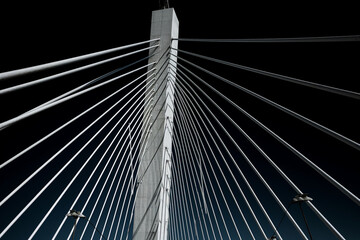 Fototapeta na wymiar High-resolution photograph of a suspension bridge, emphasizing the structural integrity and elegant design Generative AI