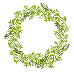 Watercolor hand painted botanical natural frame with wild meadow dark and light green leaves plants with copy space in the middle. Isolated on white aquarelle design  lush foliage element