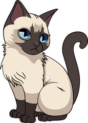 Siamese cat cute