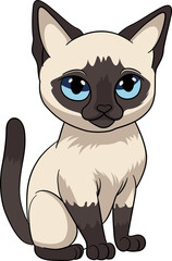 Siamese cat cute