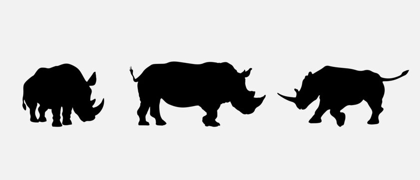 isolated black silhouette of a rhinoceros , vector collection