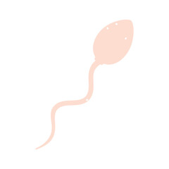 Spermatozoon, sperm cell. Male gametes, human semen. Vector illustration in cartoon style. Isolated white background