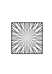 quadratische fläche gefüllt mit einem komplexen netz von strahlenförmigen schwarzen linien, modern art
