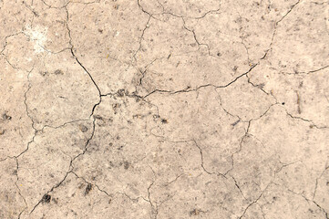 Ground cracked by hot weather. Global warming and drought concept.