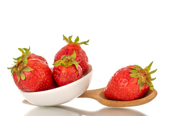 Several ripe juicy strawberries on a white ceramic saucer with a wooden spoon, macro, isolated on a white background.