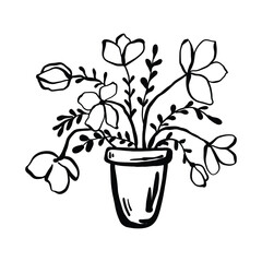 A hand-drawn doodle vector. Flower blooming in a pot. Flowers in a pot. Flower seedlings for the garden. Planting season. Spring illustration. A house flower in a cachet.
