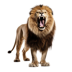 roaring lion on a transparant background, PNG, Generative Ai