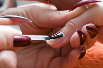 beautician making manicure to the young woman. Hands close-up
