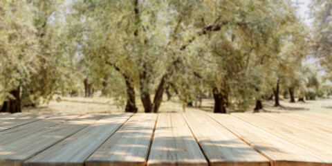 Empty wooden table, olive trees grove background, template.
