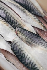 Preparing a mackerel in a kitchen 