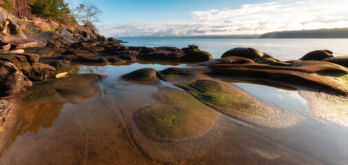 Fototapeta premium Rocky Shore on the Ocean Coast. Canadian Nature Background. Hornby Island, British Columbia, Canada.