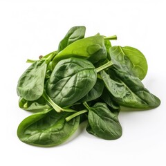 Fototapeta premium Malabar Spinach Isolated on White. Generative AI