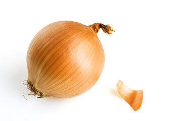 Onion. Isolated on white.