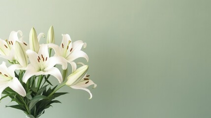 White Lillie flower. Illustration AI Generative.