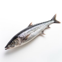 Obraz premium Mackerel fish isolated on white. Generative AI