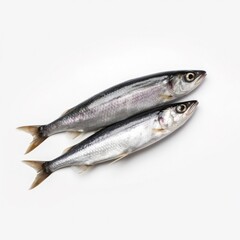 Sardines fish isolated on white. Generative AI