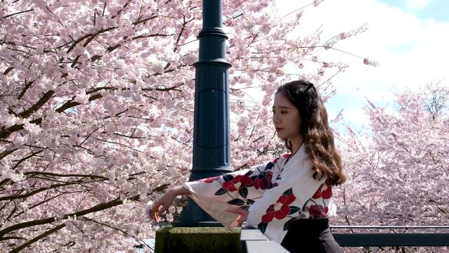 sad asian girl stands near cherry blossoms on bridge looks down waves sprinkles petals rest journey imagine beauty