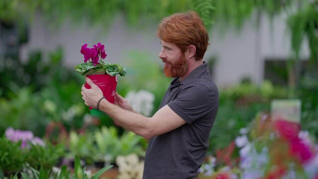 One young redhead man picking flowers from shelf standing inside horticulture retail plant store. A happy male caucasian person shopping for plants