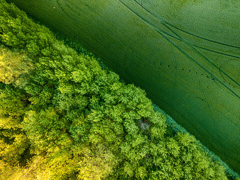 Aerial view over the agricultural fields. - Image