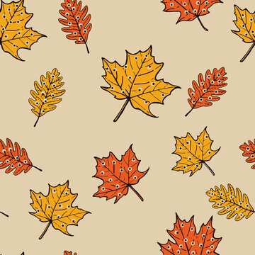 Seamless pattern with autumn leaves with dots. Unique Autumn set. fall leaves: oak, maple, set of design or decoration. 