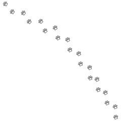 Paw foot trail print on transparent background