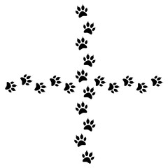 Paw foot trail print on transparent background