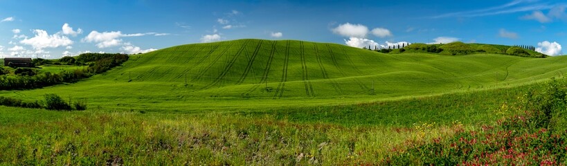 Green rolling hills in Crete Senesi in Tuscany, Siena, Italy