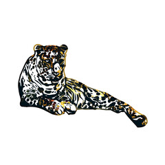  color sketch of leopard with transparent background