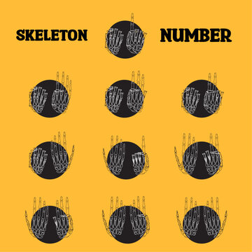 Skeleton Number