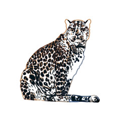  color sketch of leopard with transparent background