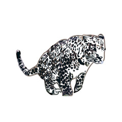  color sketch of leopard with transparent background