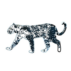  color sketch of leopard with transparent background