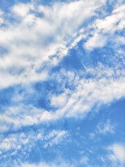 Vector business id card template with minimalist elements