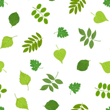 Botanical background with green leaves and branches. Vector seamless pattern. Cartoon floral illustration.