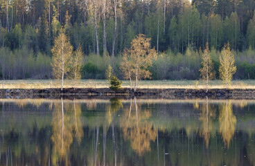 Obraz premium Reflection of trees in the river in spring