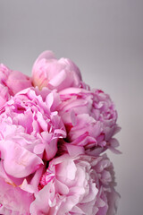 Bouquet of stylish peonies close-up. Pink peony flowers. Close-up of flower petals. Floral greeting card or wallpaper. Delicate abstract floral pastel background. Card Concept, copy space for text