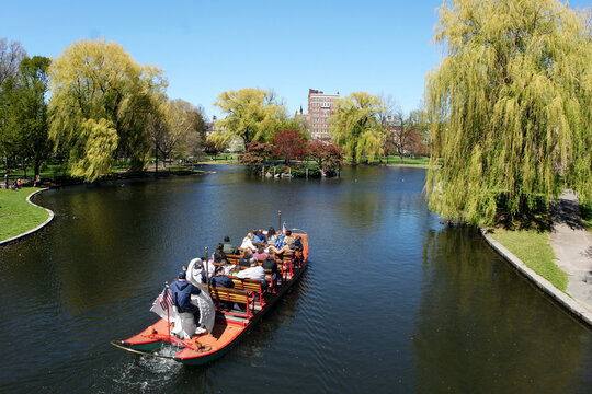 Swan Boat In The Park In Boston