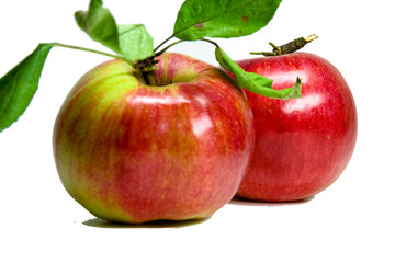 fresh red apple - fruits