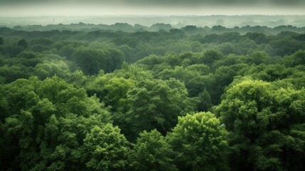 Forest landscape from bird eye view, dense forest full of green natural fresh trees under clear blue sky. Generative AI.