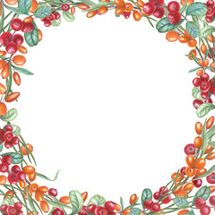 Watercolor frame of sea buckthorn, star anise, cowberry, pine needles. Beautiful combination of red and orange berries, green leaves. Christmas, New Year cards