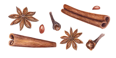 Watercolor set of cinnamons, star anise and cloves isolated on transparent background. Botanical illustration for Christmas, New Year cards, book design, greetings, stickers, templates, spice s
