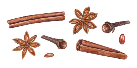 Watercolor set of cinnamons, star anise and cloves isolated on transparent background. Fragrant spices for tea, masala, mulled wine. Botanical illustration for Christmas, New Year cards, spice shops