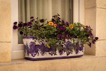  Purple and orange garden pansy flowers in a rectangular ceramic pot on a windowsill outside the building.  © Kati Lenart