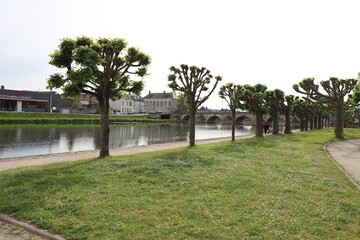 Le square Lucien Beaufrere, parc public, ville de Vierzon, département du Cher, France