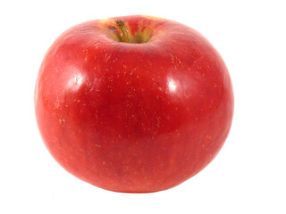 One beautiful red apple on white background