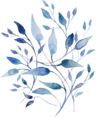 Fototapeta na wymiar Floral illustration - blue leaves, for wedding stationery, congratulations, wallpaper, fashion, background. Branch with leaves painted in watercolor.