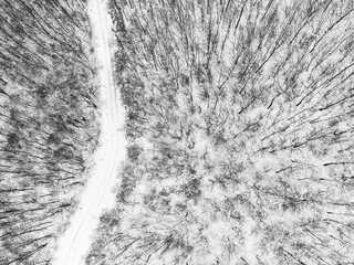 Top view of a winter forest. with a road in the middle of trees