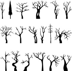 Black naked tree silhouettes, isolated winter flat trees. Dead dry branch, trunk marple or oak. Abstract fall forest, neoteric vector nature set