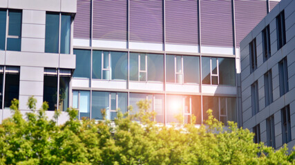 Reflection of modern commercial building on glass with sunlight. Eco architecture. Green tree and glass office building. The harmony of nature and modernity. 